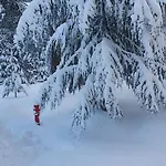 شقة Il Rifugio Di Greta كاميغلياتيلو سيلانو