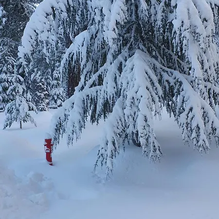 Apartamento Il Rifugio Di Greta Camigliatello Silano