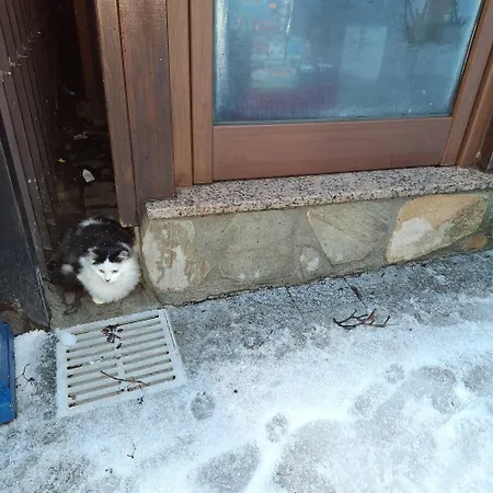 Il Rifugio Di Greta