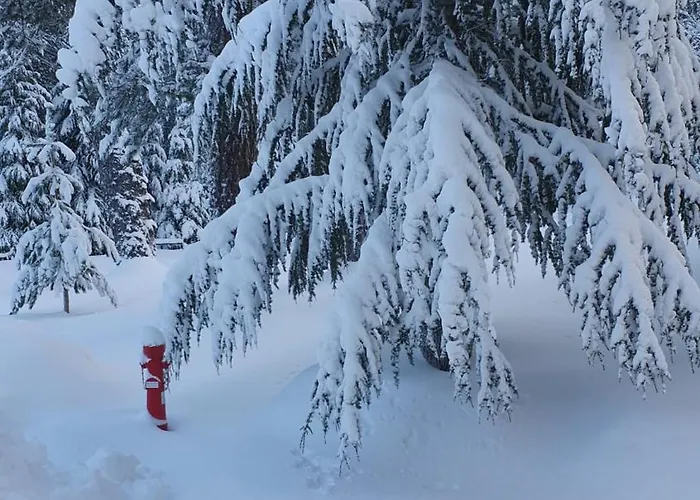 Apartman Il Rifugio Di Greta Camigliatello Silano